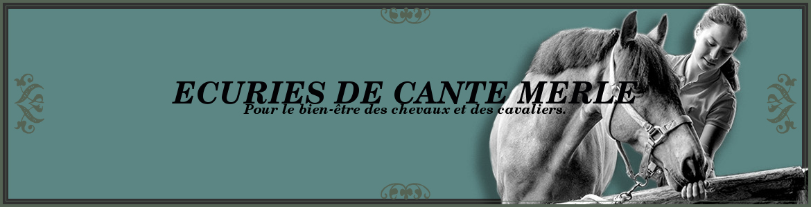ECURIES DE CANTE MERLE